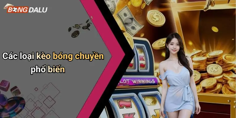 Các loại kèo bóng chuyền phổ biến