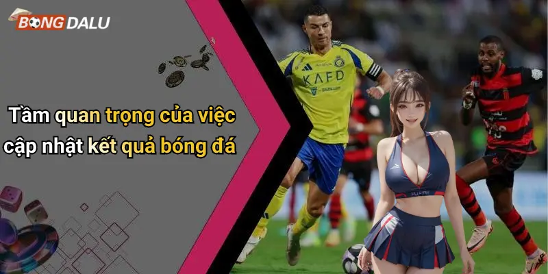 Tầm quan trọng của việc cập nhật kết quả bóng đá