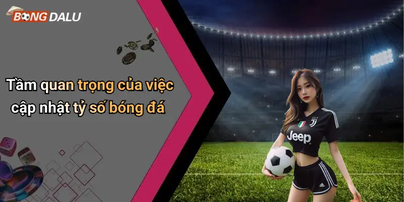 Tầm quan trọng của việc cập nhật tỷ số bóng đá