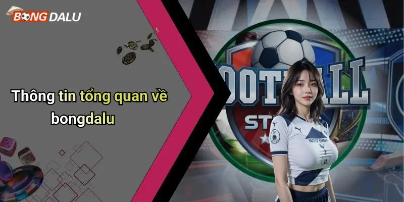 Thông tin tổng quan về bongdalu