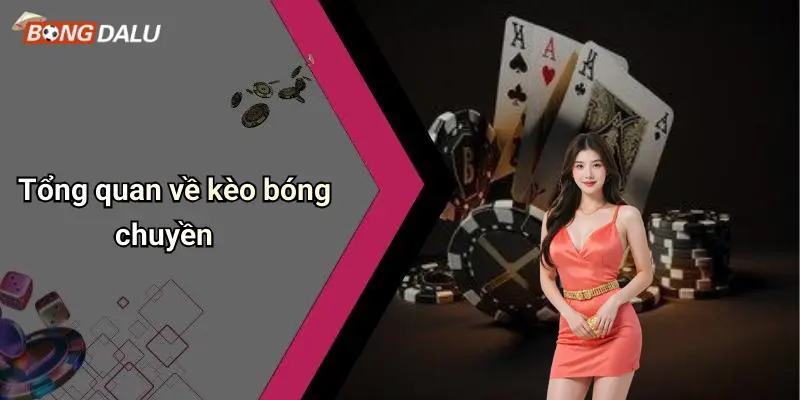 Tổng quan về kèo bóng chuyền