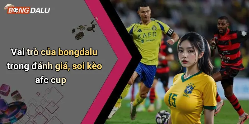 Vai trò của bongdalu trong đánh giá, soi kèo afc cup