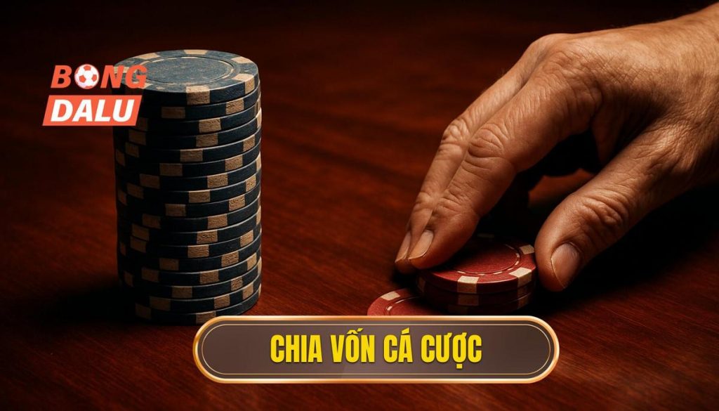 thumb - chia vốn cá cược