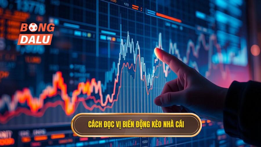 Phân tích biến động tỷ lệ kèo tối nay: Nghệ thuật đọc vị nhà cái