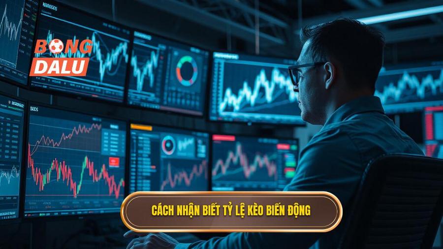 3. Cách nhận biết và bắt bài tỷ lệ kèo biến động