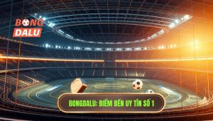 BONGDALU_ Điểm đến uy tín số 1